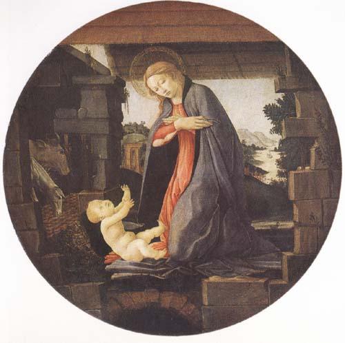 Sandro Botticelli Madonna in Adoration of the Christ Child